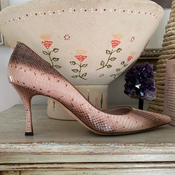 Python Manolos - Picture 11 of 11